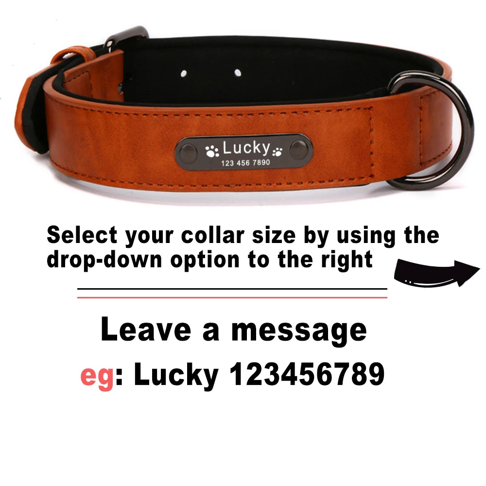 The Milano Leather Collar – Personalized Luxe Edition