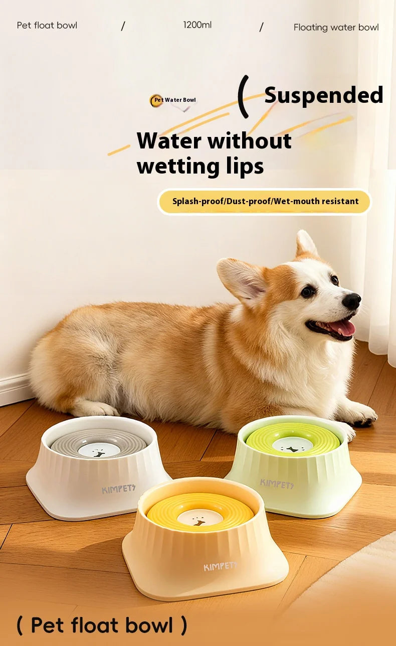 Floating Hydration Bowl – KishiDoodles Calm Water Edition