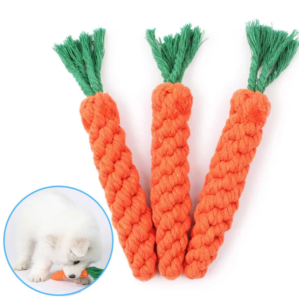 The Carrot Bite Toy – KishiDoodles Natural Play Collection