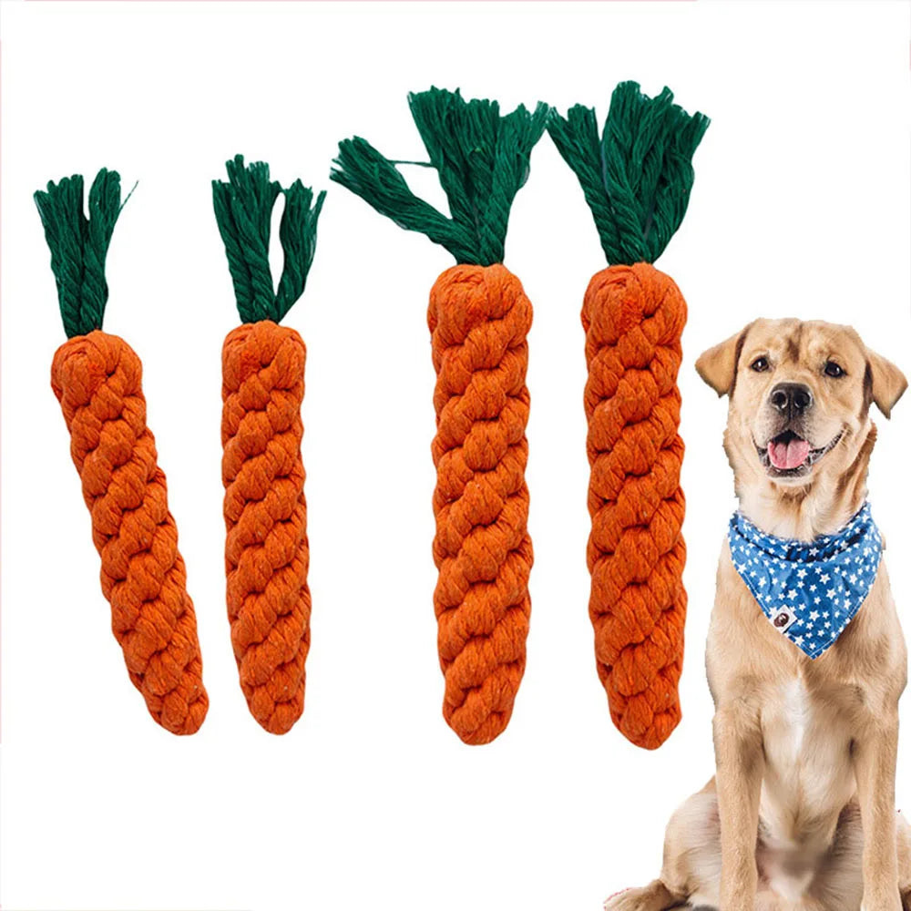 The Carrot Bite Toy – KishiDoodles Natural Play Collection