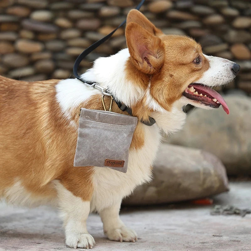 The Nomad Treat Pouch – KishiDoodles Outdoor Edition