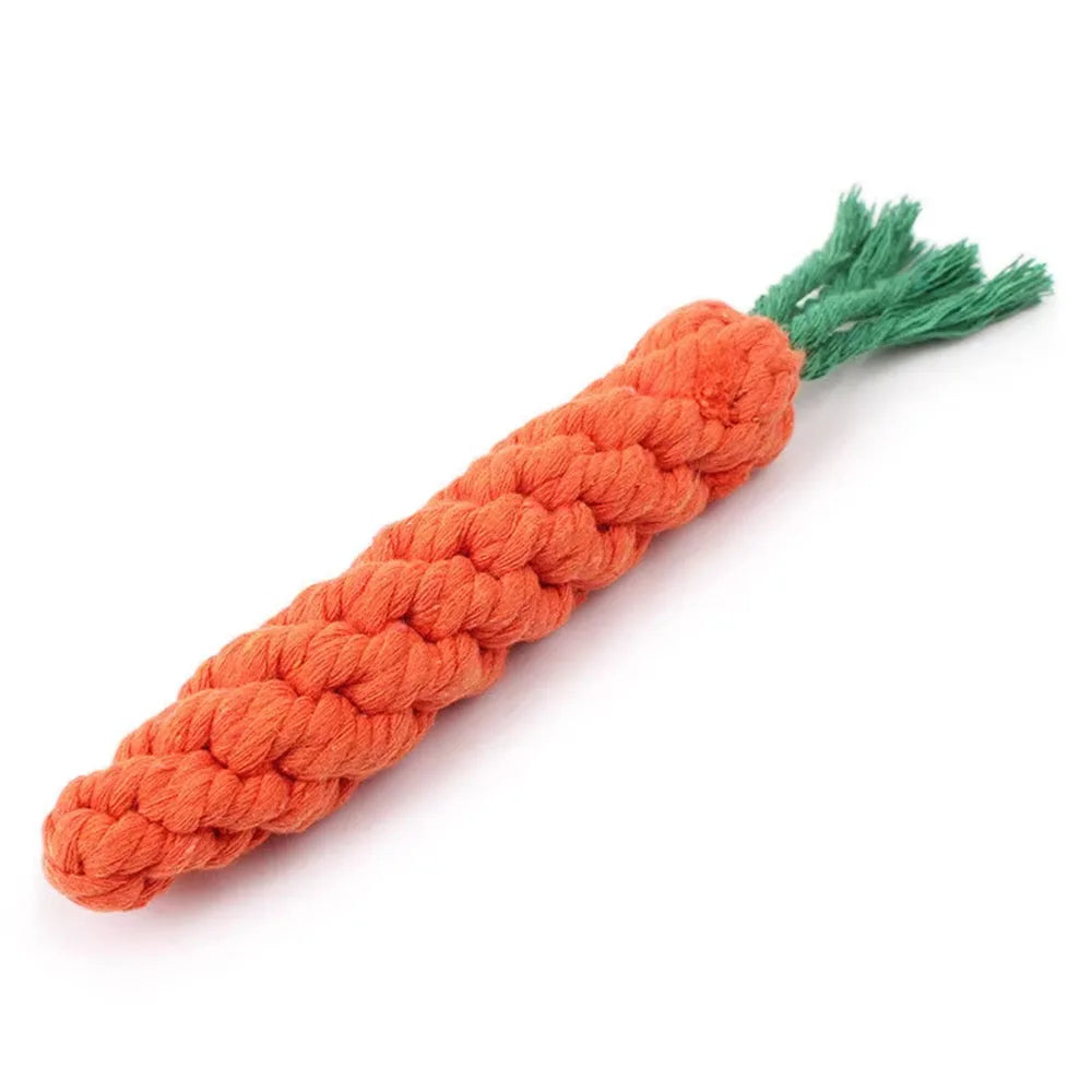 The Carrot Bite Toy – KishiDoodles Natural Play Collection