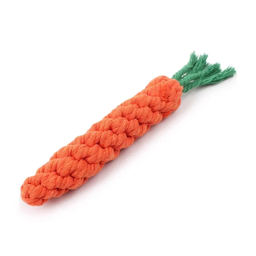 The Carrot Bite Toy – KishiDoodles Natural Play Collection