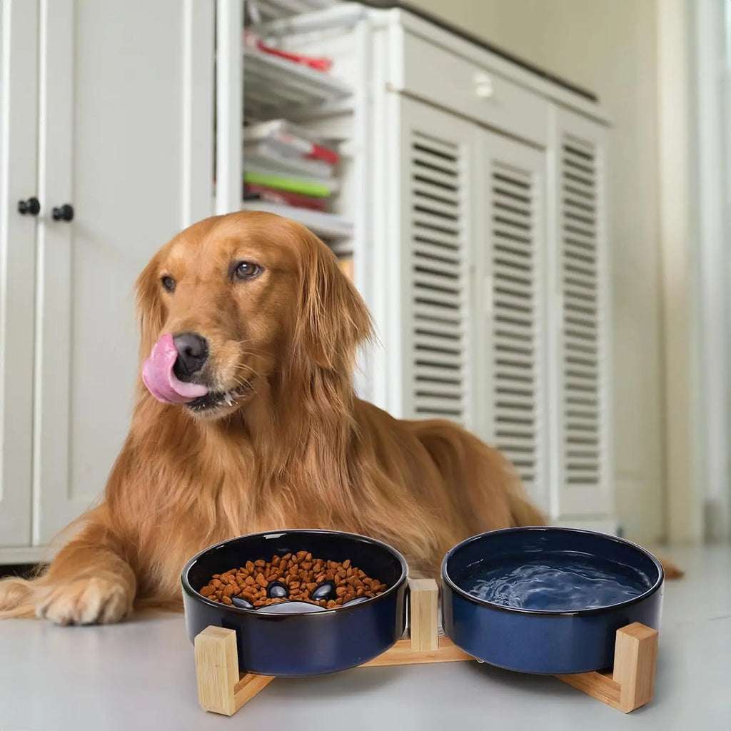 The Artisan Ceramic Duo – KishiDoodles Timeless Dining Collection