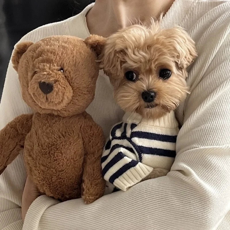 KishiDoodles “Bear Hug” Striped Sweater