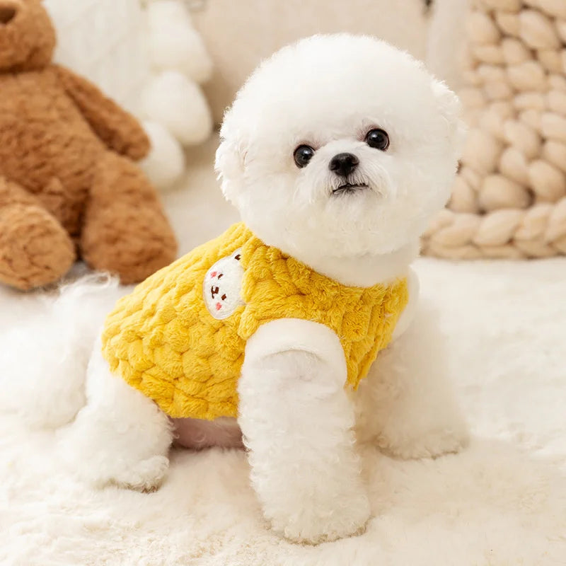 Winter Bear Sweater – Luxe Pet Edition