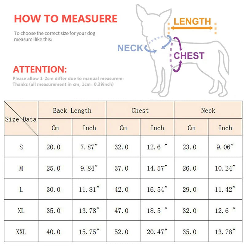 Winter Bear Sweater – Luxe Pet Edition