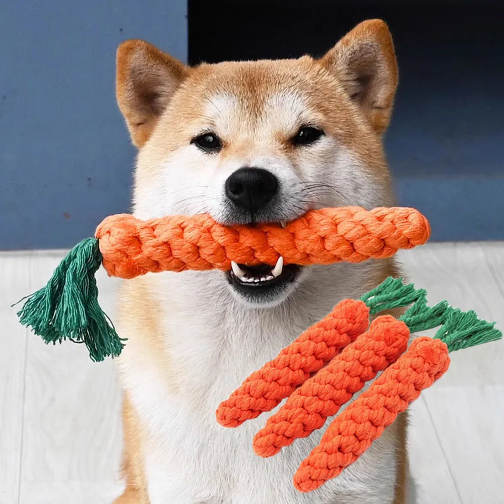 The Carrot Bite Toy – KishiDoodles Natural Play Collection