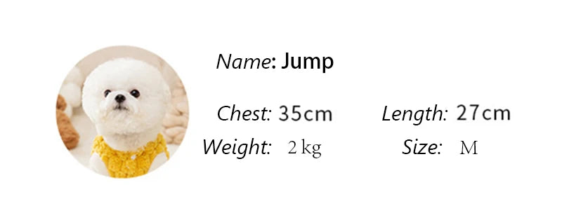 Winter Bear Sweater – Luxe Pet Edition